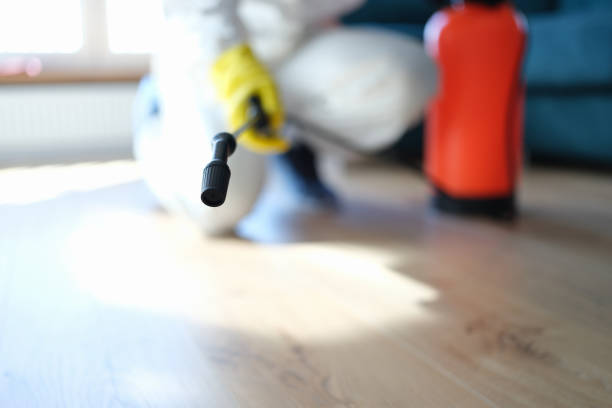 Best Mold Damage Restoration  in Edinboro, PA