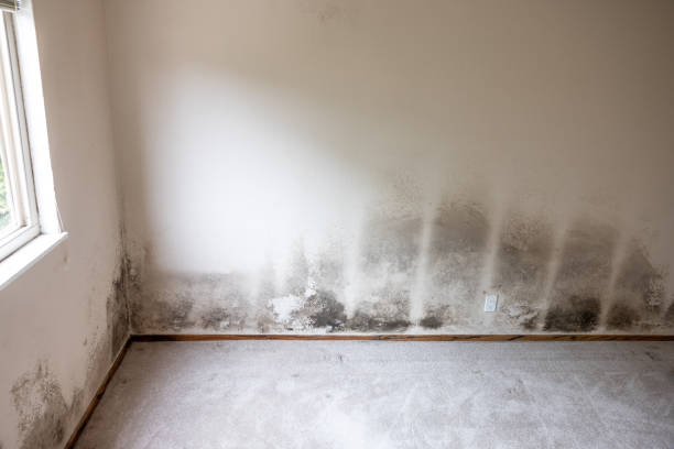 Best Indoor Air Quality Assessment  in Edinboro, PA